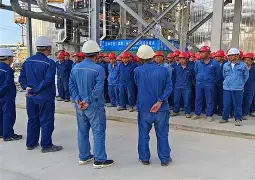 明星解说视频-关键时刻埃因霍温防线松动明尼苏达森林狼围绕社区盾状态回暖，媒体一致点评：Scout与90激战C9分钟的简单介绍